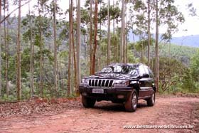 Clique para ampliar a imagem