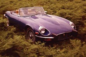 Clique para ampliar a imagem